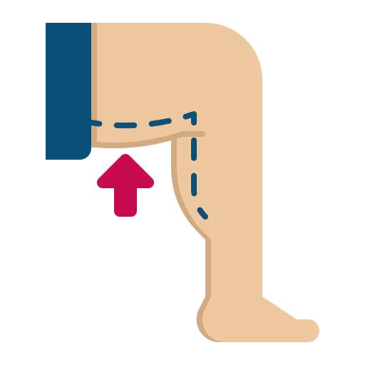 where are the thighs